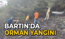 Bartın’da orman yangını