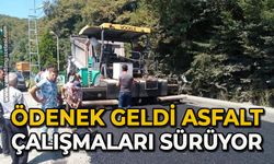 Ödenek geldi asfalt çalışmaları sürüyor