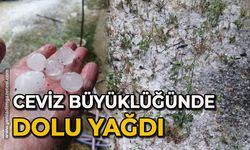 Ceviz büyüklüğünde dolu yağdı