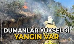 Dumanlar yükseldi yangın var