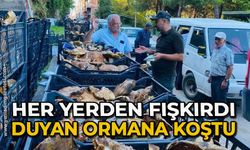 Her yerden fışkırdı duyan ormana koştu