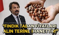 Eylem Ertuğrul'dan fındık taban fiyatlarına tepki: Alın terine ihanettir!