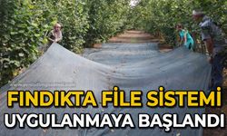 Fındıkta file sistemi yaygınlaşıyor