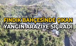 Fındık bahçesinde çıkan yangın araziye sıçradı