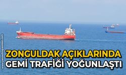 Zonguldak açıklarında gemi trafiği yoğunlaştı