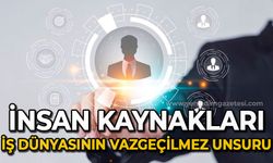 İnsan Kaynakları: İş Dünyasının Vazgeçilmez Unsuru