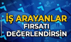 İş arayanlar fırsatı değerlendirsin: İŞKUR duyurdu 100 kişi alınacak