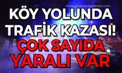 Köy yolunda kaza: 9 kişi yaralandı!