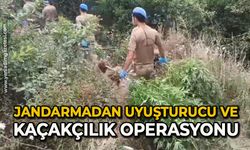 Jandarmadan uyuşturucu ve kaçakçılık operasyonu