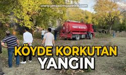 Köyde korkutan yangın