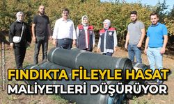 Fındıkta fileyle hasat maliyetleri düşürüyor