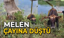 Melen Çayına düştü