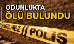 Odunlukta ölü bulundu