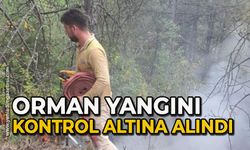 Orman yangını kontrol altına alındı!