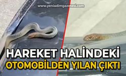 Hareket halindeki otomobilden yılan çıktı