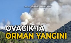 Ovacık'ta orman yangını