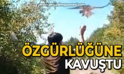 Özgürlüğüne kavuştu