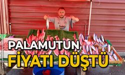 Palamutun fiyatı düştü