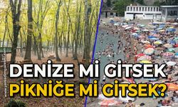 Denize mi gitsek, pikniğe mi gitsek?