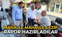 Mahalle mahalle gezip rapor hazırladılar