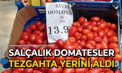 Salçalık domatesler tezgahta yerini aldı