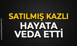 Satılmış Kazlı hayata veda etti