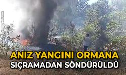 Anız yangını ormana sıçramadan söndürüldü!