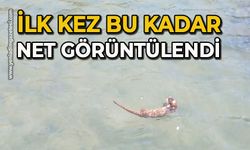 İlk kez bu kadar net görüntülendi