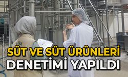 Süt ve süt ürünleri denetimi yapıldı