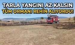 Tarla yangını az kalsın tüm ormanı rehin alıyordu