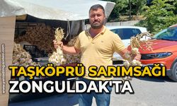 Taşköprü sarımsağı Zonguldak'ta