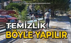 Temizlik böyle yapılır