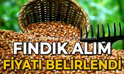 Fındık alım fiyatı belirlendi