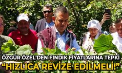 Özgür Özel'den fındık fiyatlarına tepki: Hızlıca revize edilmeli