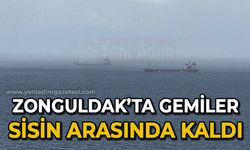 Zonguldak'ta gemiler sisin arasında kaldı