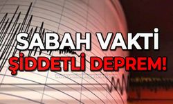 Sabah vakti şiddetli deprem: 4,6 ile sallandılar!