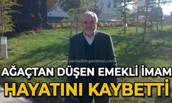 Ağaçtan düşen emekli imam hayatını kaybetti