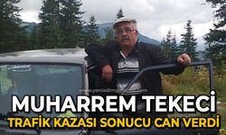 Muharrem Tekeci trafik kazası sonucu yaşamını yitirdi