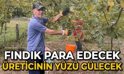 Fındık para edecek: Üreticinin yüzü gülecek