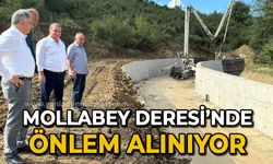 Mollabey deresinde önlem alınıyor