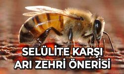 Selülite karşı arı zehri önerisi