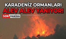 Karadeniz ormanları alev alev yanıyor!