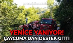 Yenice yanıyor: Çaycuma'dan destek gitti