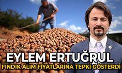 Eylem Ertuğrul fındık alım fiyatlarına tepki gösterdi: Hatayı siz yaptınız, millet cefasını çekiyor!