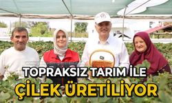 Topraksız tarım ile çilek üretiliyor