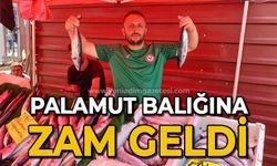 Palamut balığına zam geldi