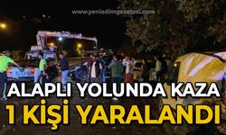 Alaplı yolunda kaza: 1 kişi yaralandı