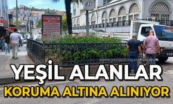 Zonguldak'ta yeşil alanlar koruma altına alınıyor