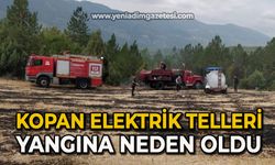 Kopan elektrik telleri yangına neden oldu