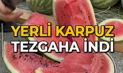 Yerli karpuz tezgaha indi